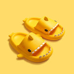 Sharkbite Slides - Junior Sizes!